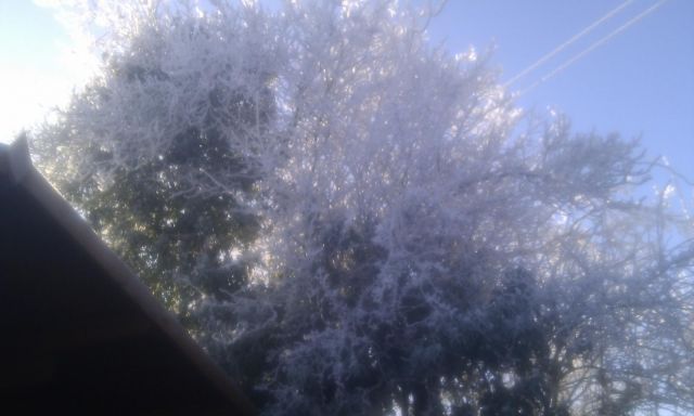 Midlands Weather 3