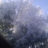 Midlands Weather 3