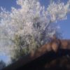 Midlands Weather 2