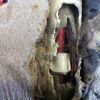 IMG 0182 IMG 0182