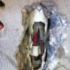 IMG 0181 IMG 0181