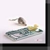 Is Hiding Your Ssid On Your... - last post by skar