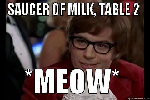 Image result for saucer of milk meme