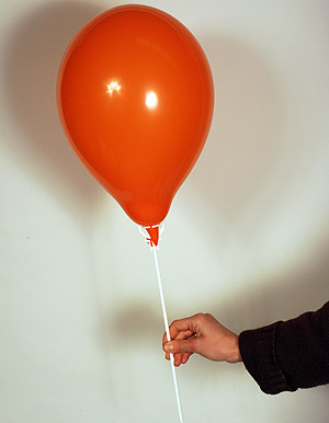 Image result for balloon on a stick