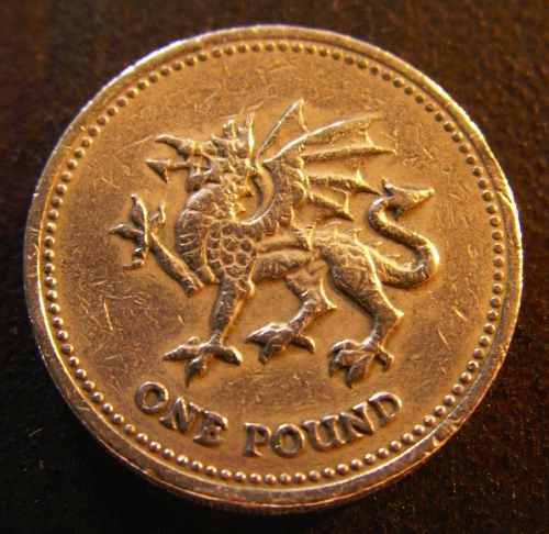 pound-picture.jpg
