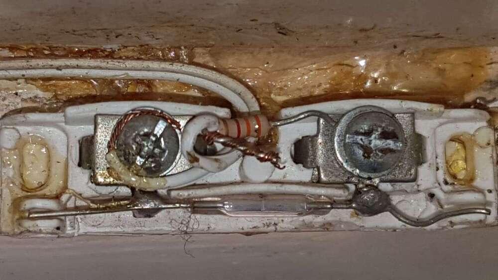 WhatsApp Image 2019-08-09 at 13.13.52.jpeg