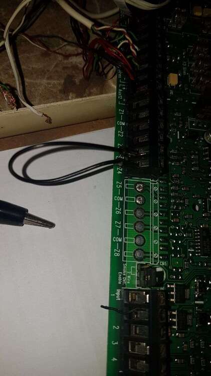 WhatsApp Image 2019-08-12 at 19.24.38.jpeg