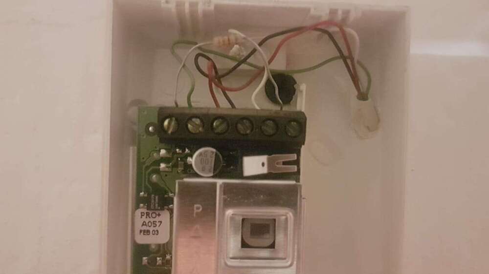 WhatsApp Image 2019-08-09 at 19.48.07.jpeg